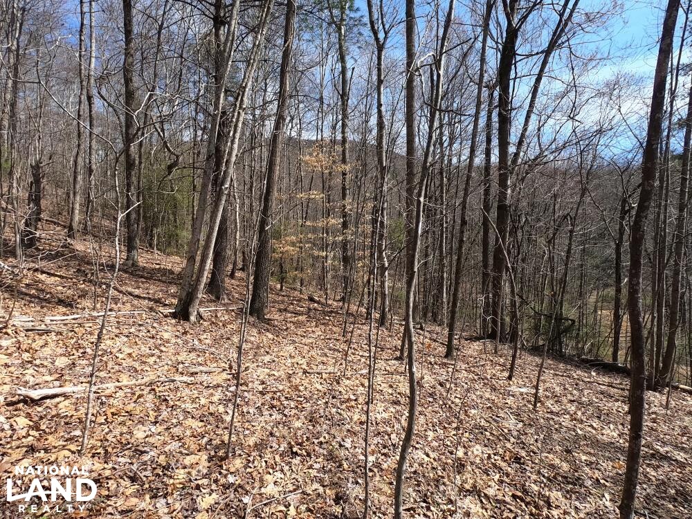 Unrestricted Woodland Acreage near Edneyville in Henderson County