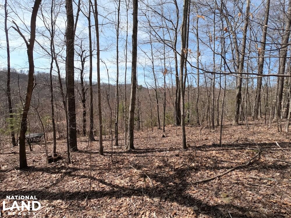 Unrestricted Woodland Acreage near Edneyville in Henderson County