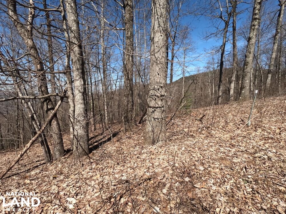 Unrestricted Woodland Acreage near Edneyville in Henderson County