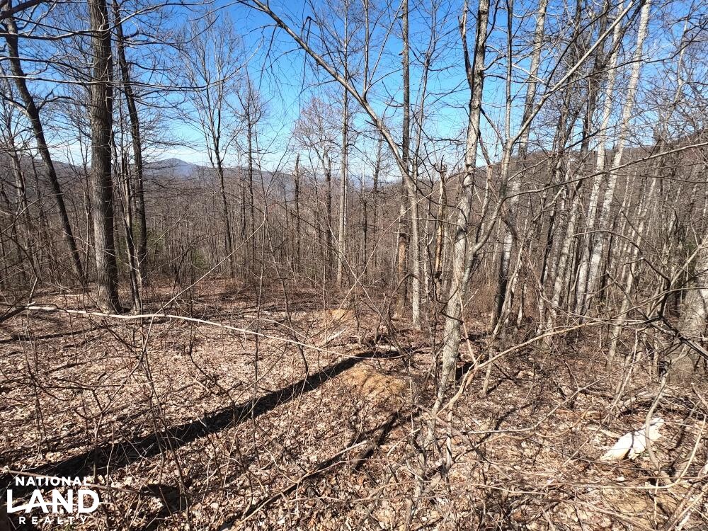 Unrestricted Woodland Acreage near Edneyville in Henderson County