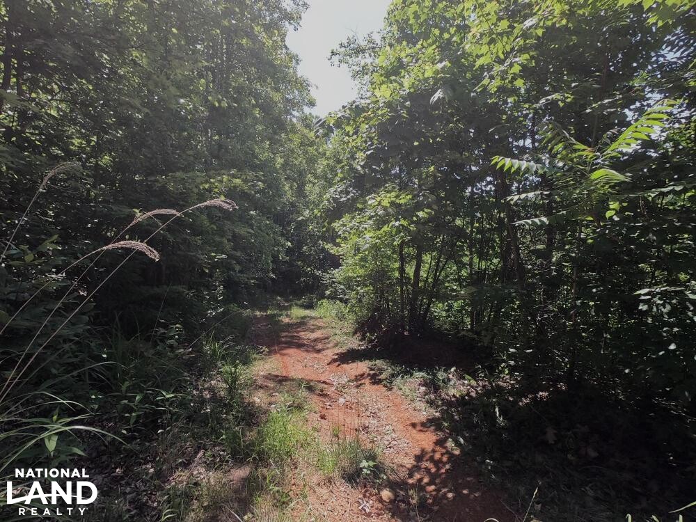 Unrestricted Woodland Acreage near Edneyville in Henderson County