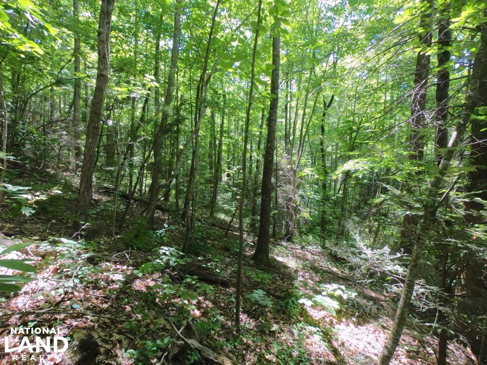 Unrestricted Woodland Acreage near Edneyville in Henderson County