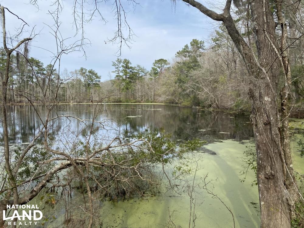 Combahee River Ponds in Colleton County, South Carolina (12 Photos