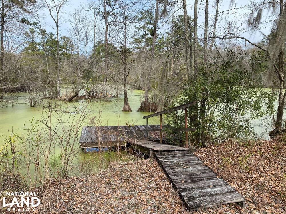 Combahee River Ponds in Colleton County, South Carolina (12 Photos