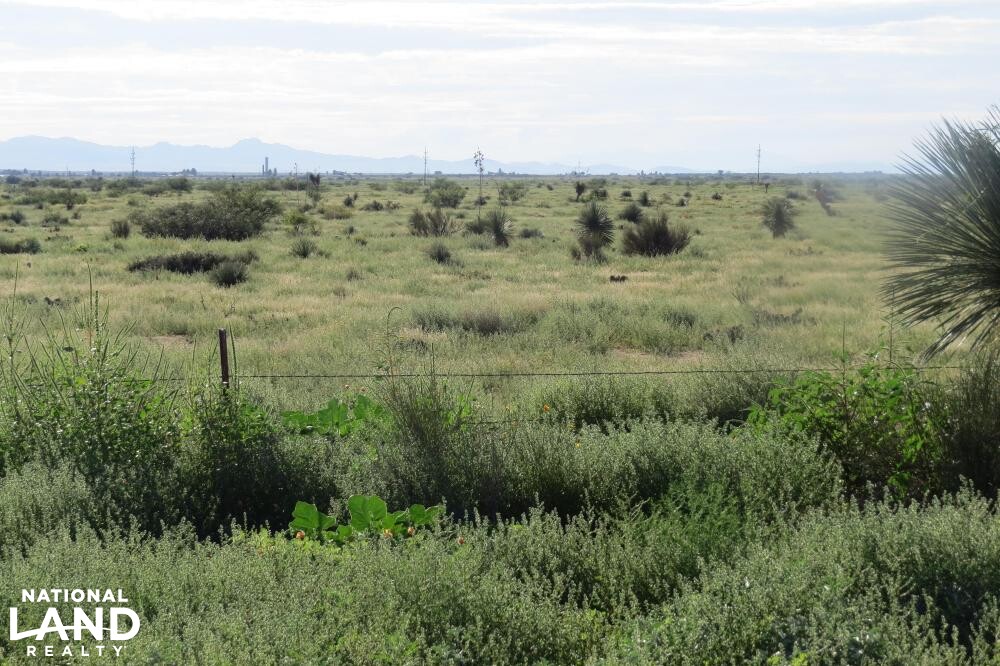Lordsburg Large Land parcel in Hidalgo County, New Mexico (23 Photos