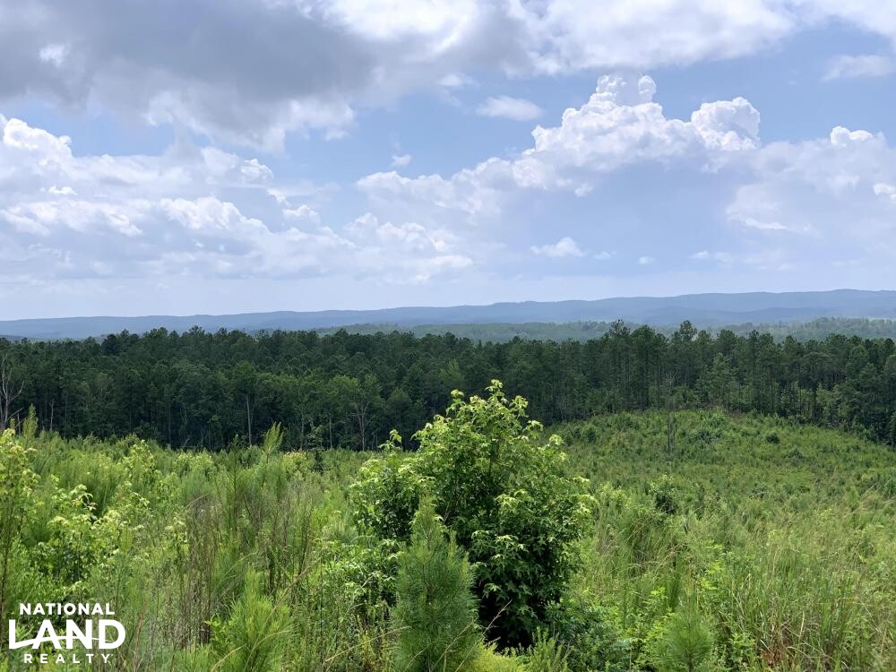 Recreation, Timber and Hunting Land in Coosa County, Alabama (16 Photos) National Land Realty