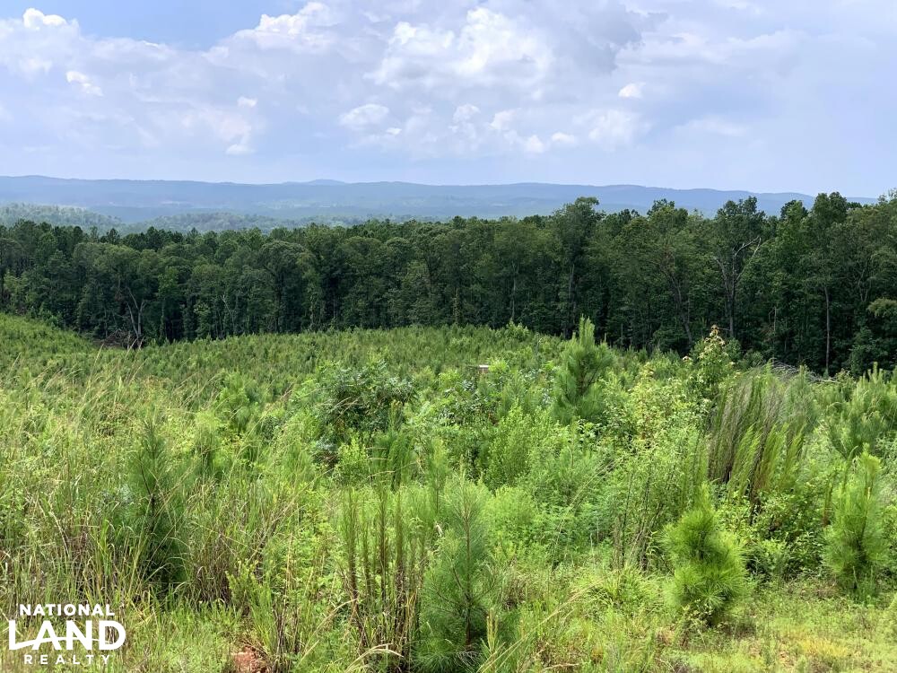 Recreation, Timber and Hunting Land in Coosa County, Alabama (16 Photos) National Land Realty