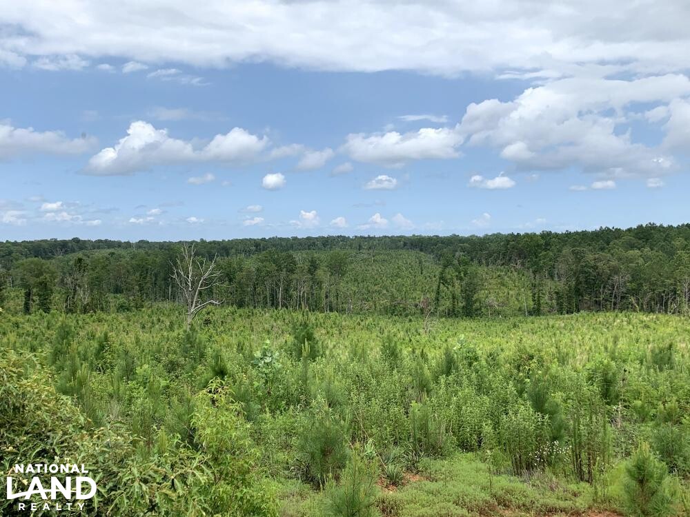 Recreation, Timber and Hunting Land in Coosa County, Alabama (16 Photos) National Land Realty
