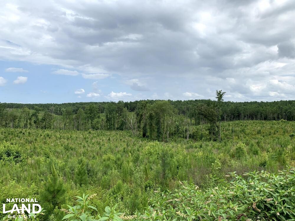 Recreation, Timber and Hunting Land in Coosa County, Alabama (16 Photos) National Land Realty