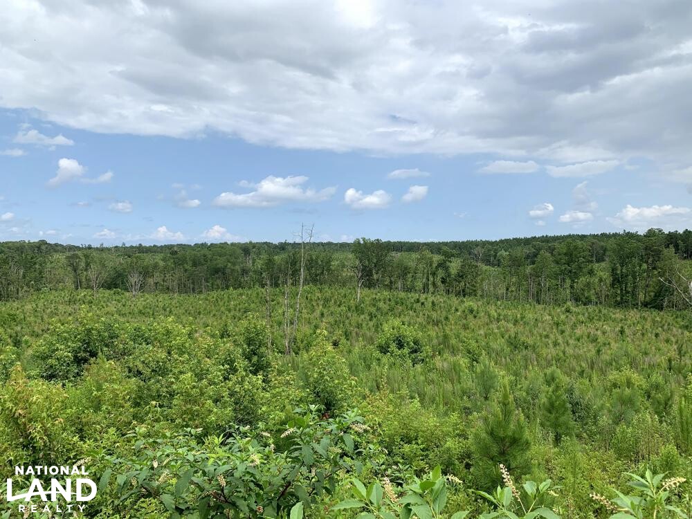 Recreation, Timber and Hunting Land in Coosa County, Alabama (16 Photos