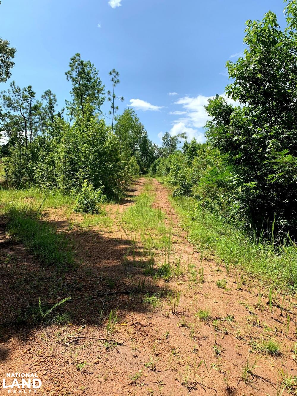 Recreation, Timber and Hunting Land in Coosa County, Alabama (16 Photos) National Land Realty