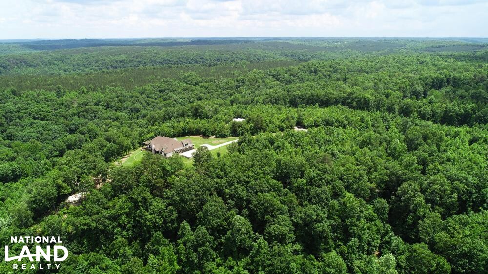 zJLG01 Wagnon Mountain Estate in Colbert County, Alabama (69 Photos