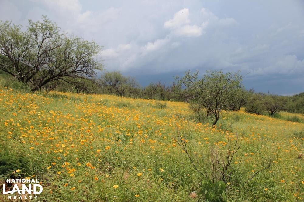 Santa Rita Mountains Home Site in Santa Cruz County, Arizona (21 Photos