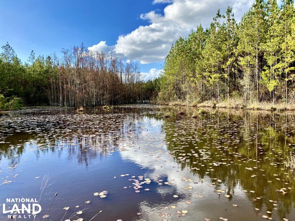 Chatom Golf Course Hunting Timber or Development Tract in Washington