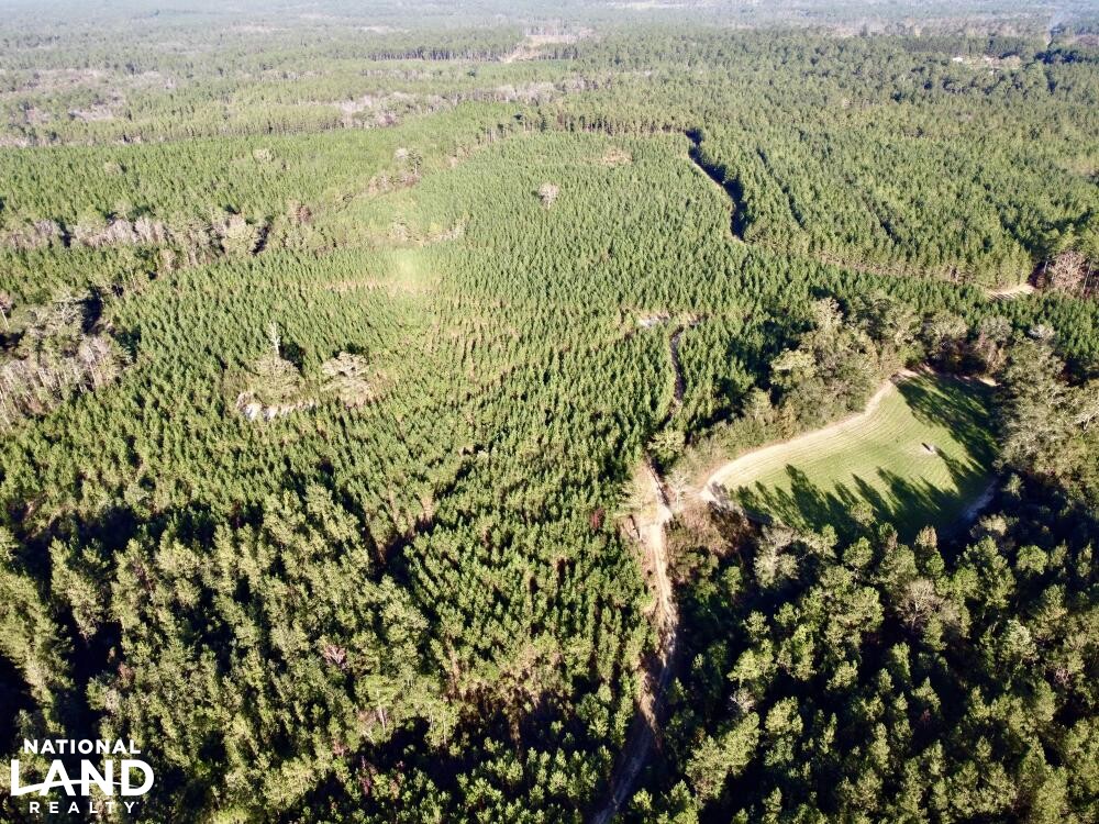 Chatom Golf Course Hunting Timber or Development Tract in Washington