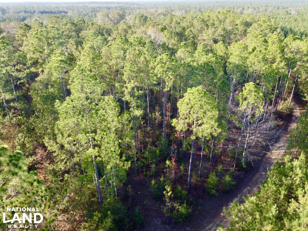 Chatom Golf Course Hunting Timber or Development Tract in Washington