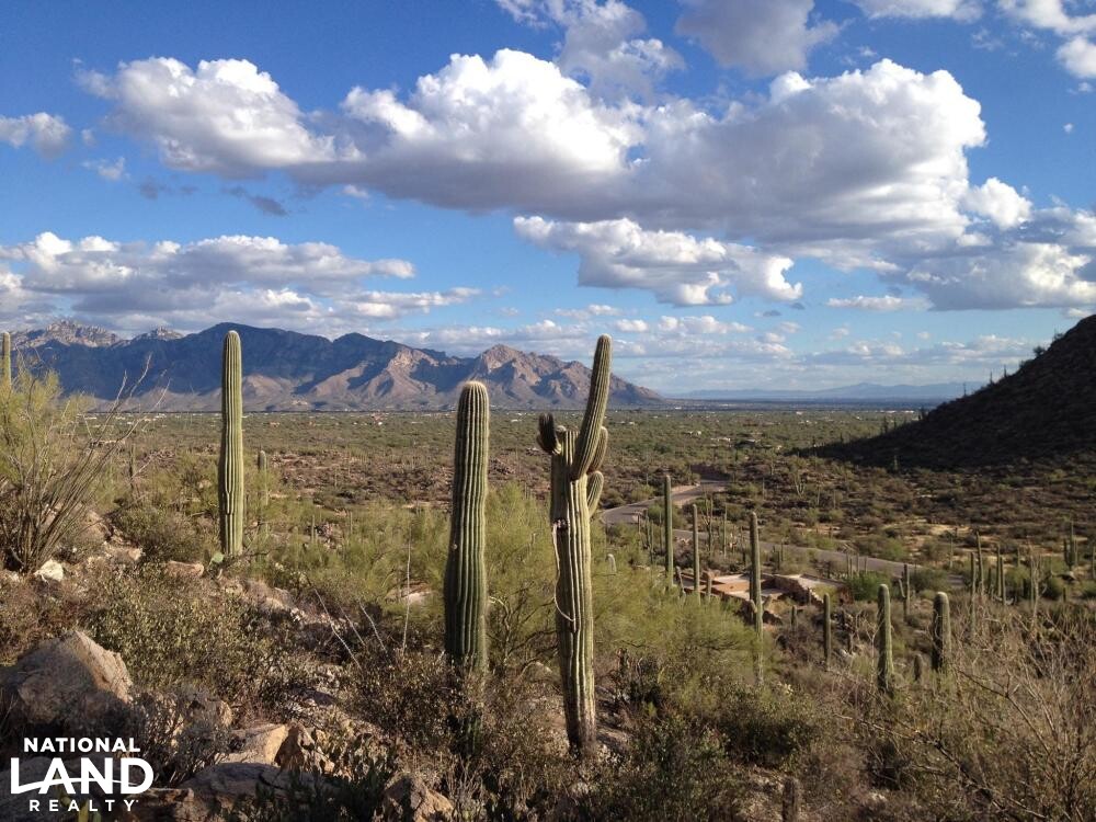 Saguaro Ranch in Pima County, Arizona (40 Photos) National Land Realty