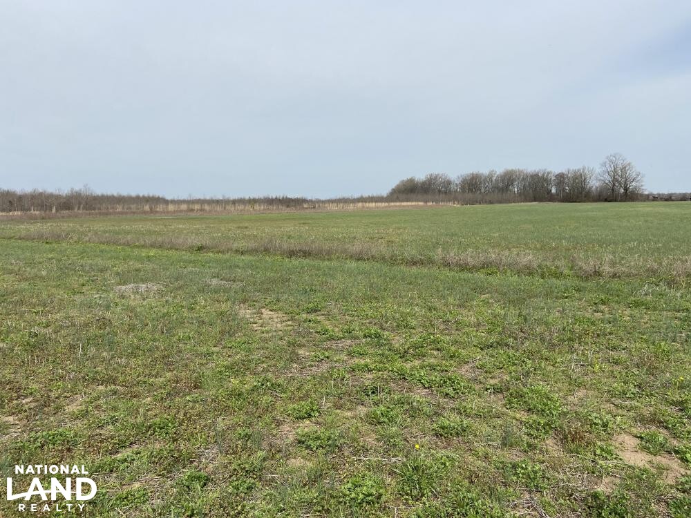 Small Row Crop Farm in Quitman County, Mississippi (30 Photos