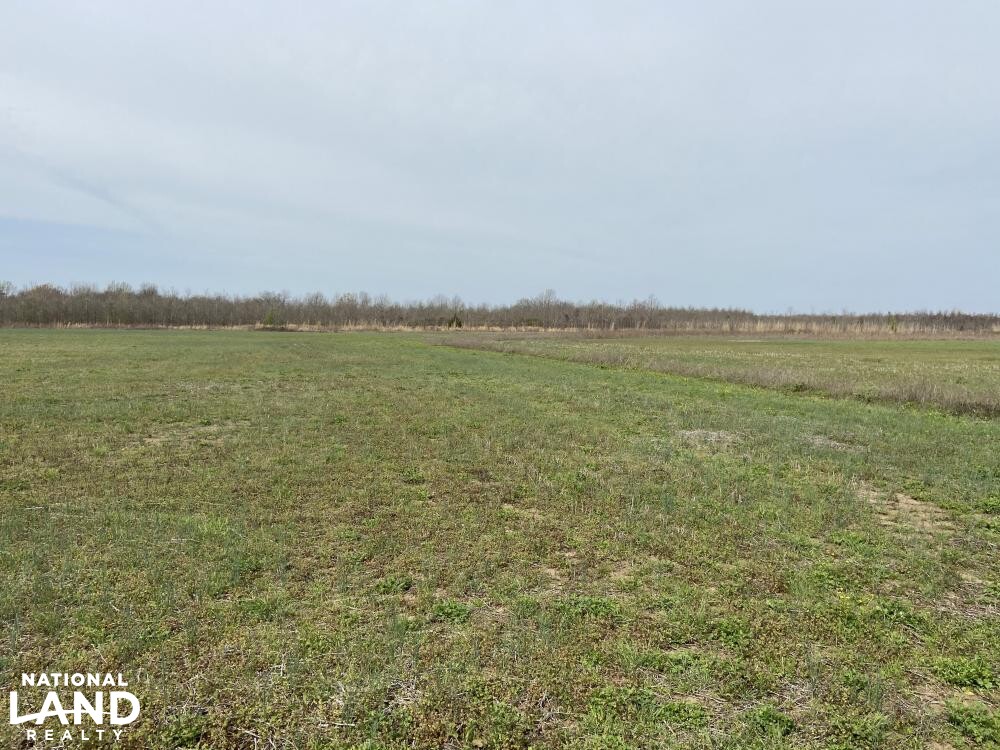 Small Row Crop Farm in Quitman County, Mississippi (30 Photos