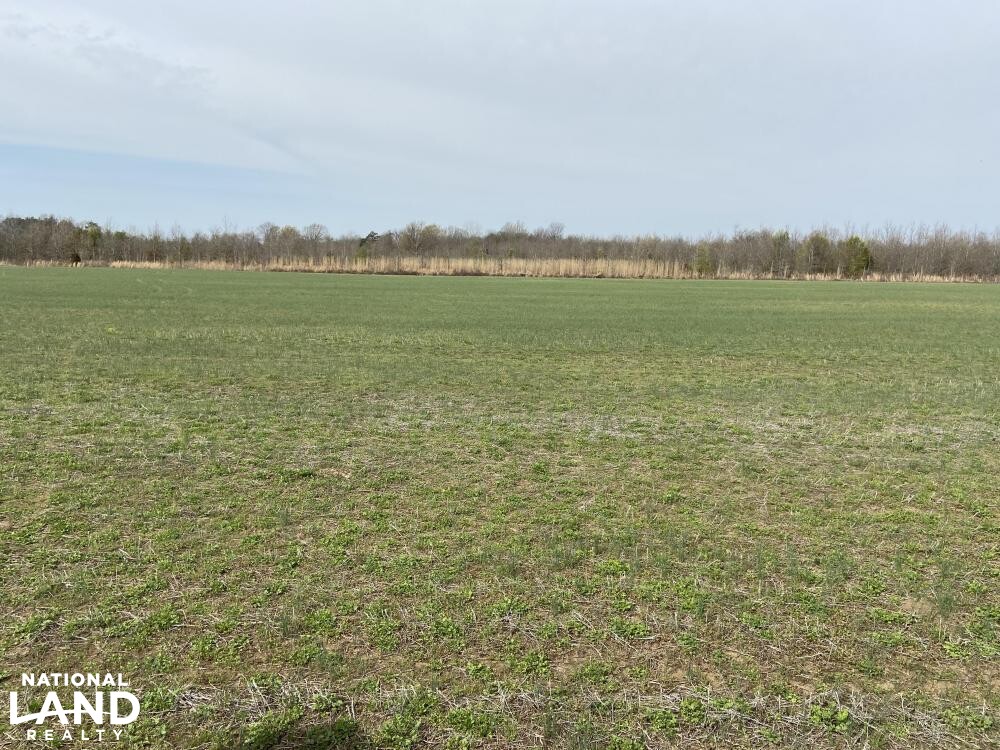 Small Row Crop Farm in Quitman County, Mississippi (30 Photos