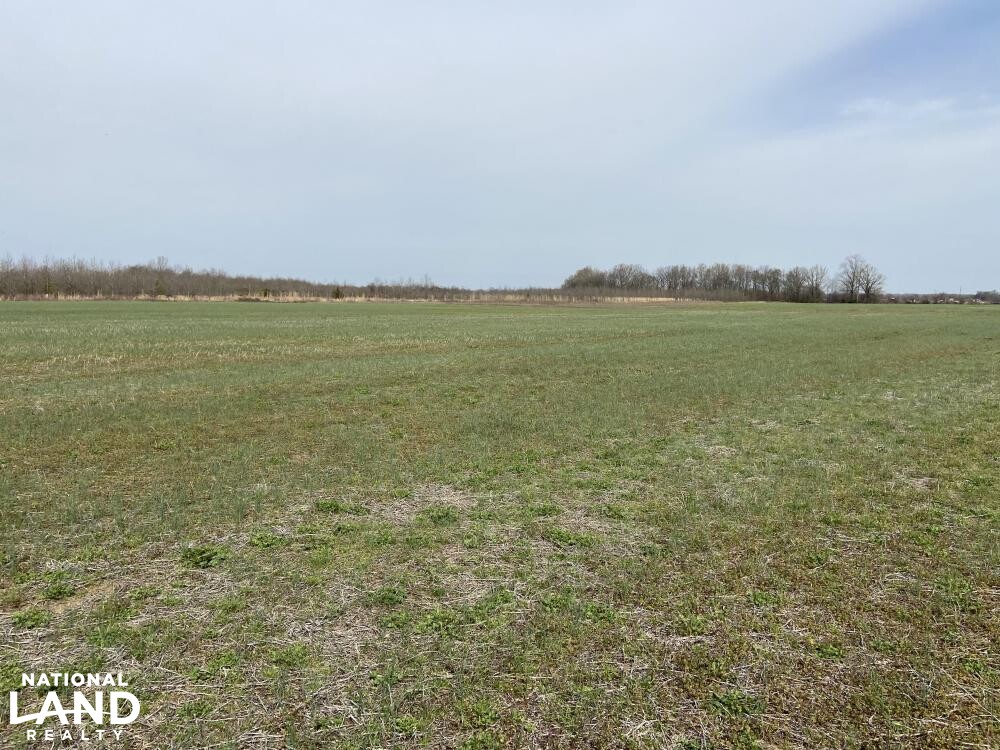 Small Row Crop Farm in Quitman County, Mississippi (30 Photos