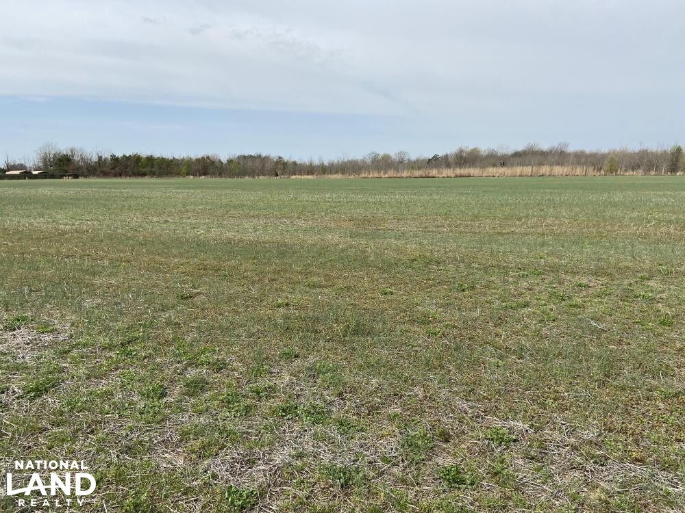 Small Row Crop Farm in Quitman County, Mississippi (30 Photos