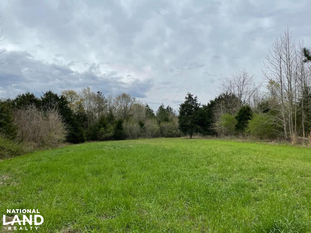 Boligee Hunting Family Recreational Tract With Camphouse in Greene