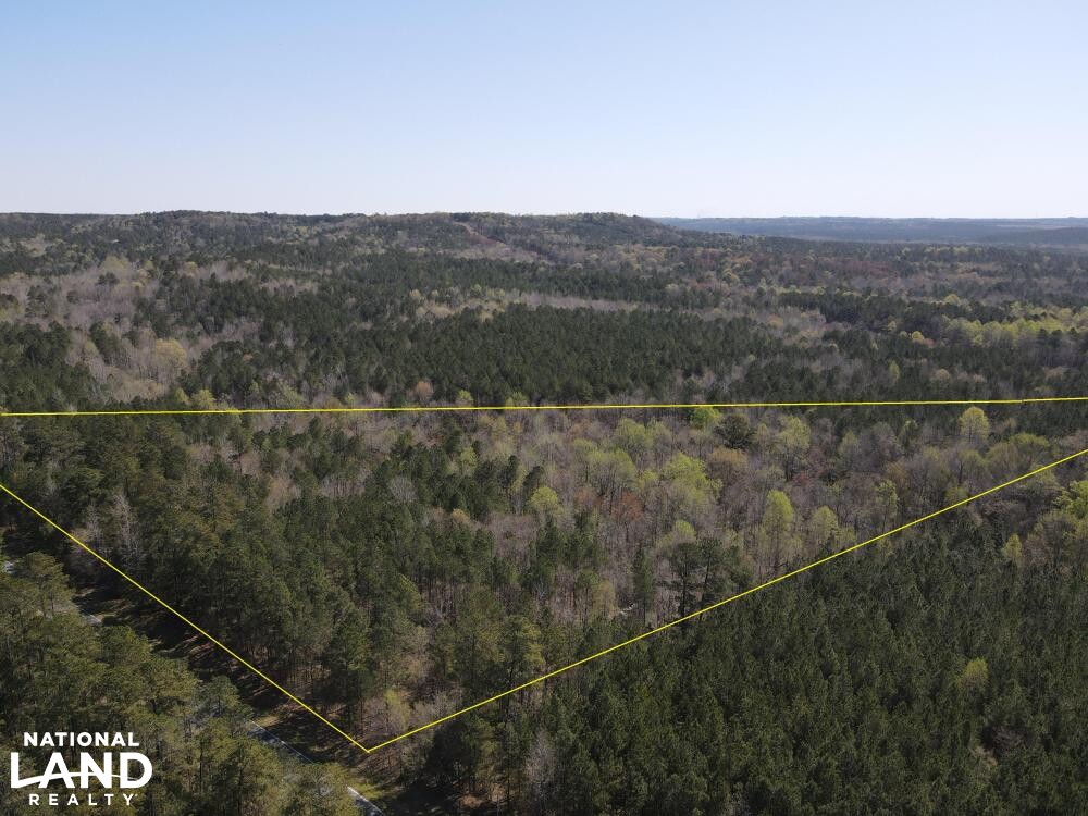 10+/ Acre Building Lot at Blewett Falls Lake! in Richmond County