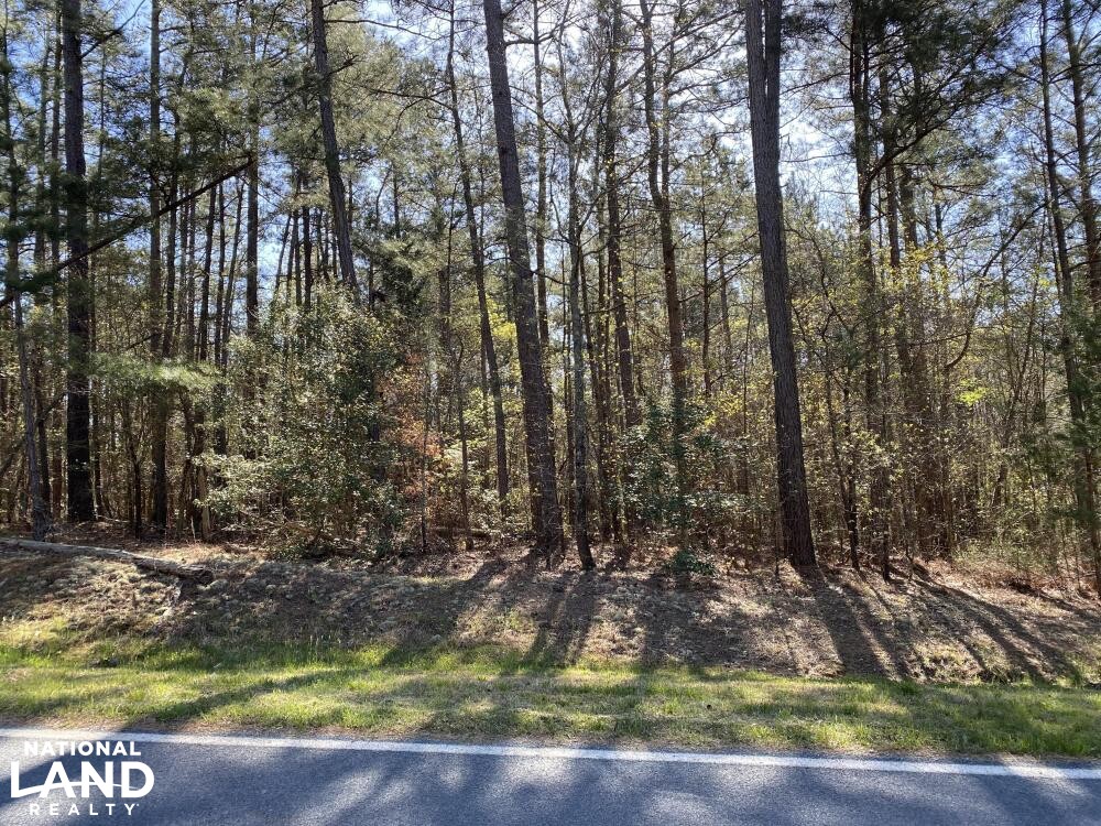 10+/ Acre Building Lot at Blewett Falls Lake! in Richmond County