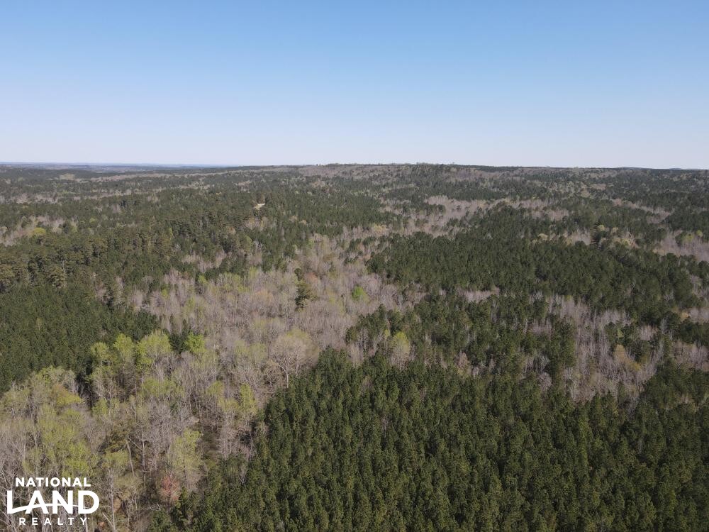 10+/ Acre Building Lot at Blewett Falls Lake! in Richmond County