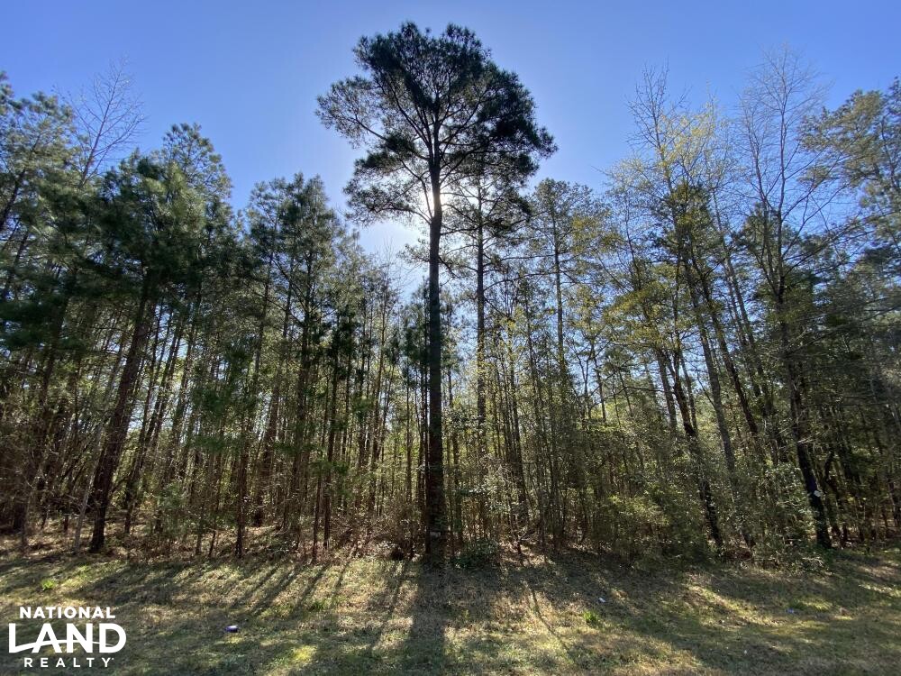 10+/ Acre Building Lot at Blewett Falls Lake! in Richmond County