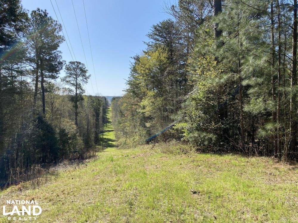 10+/ Acre Building Lot at Blewett Falls Lake! in Richmond County