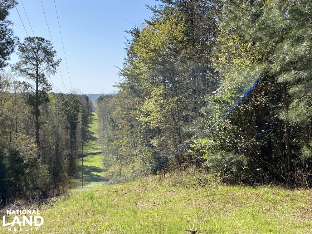 10+/ Acre Building Lot at Blewett Falls Lake! in Richmond County