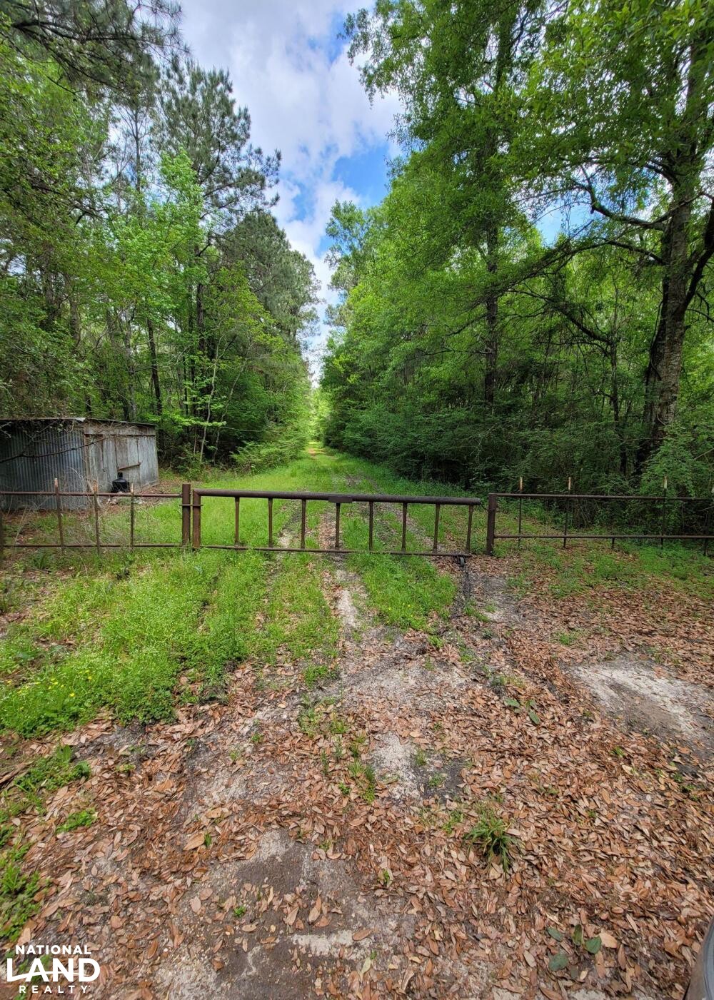 Tangipahoa River Timber and Hunting in Tangipahoa Parish, Louisiana (54