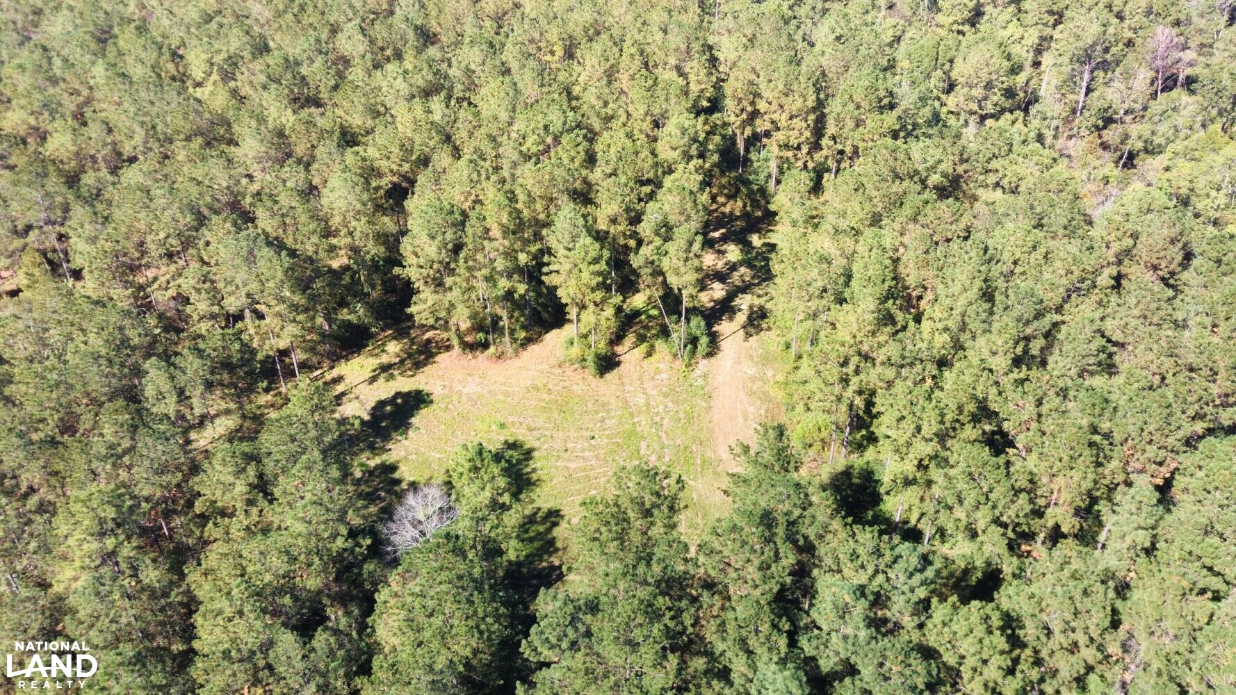 Tangipahoa River Timber and Hunting in Tangipahoa Parish, Louisiana (54