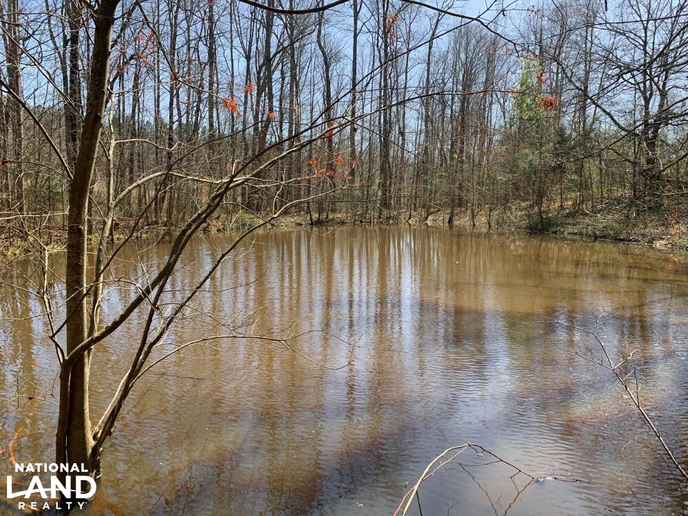 Slabtown 27+/ Acre Homesite in Anderson County, South Carolina (28