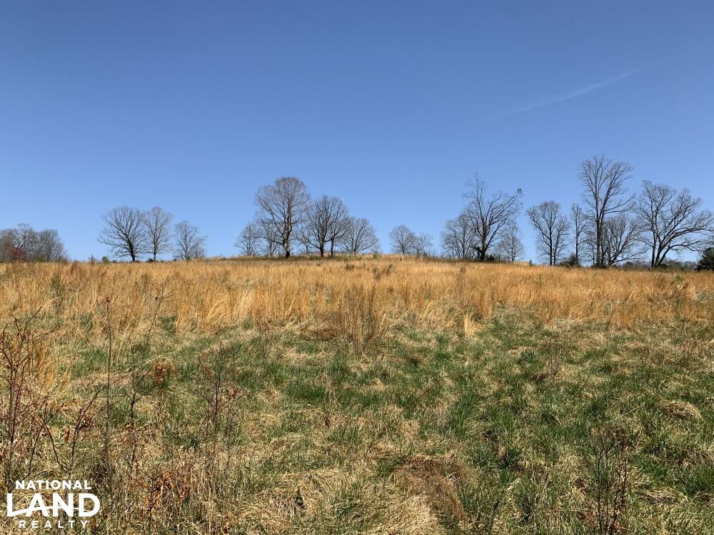 Slabtown 27+/ Acre Homesite in Anderson County, South Carolina (28