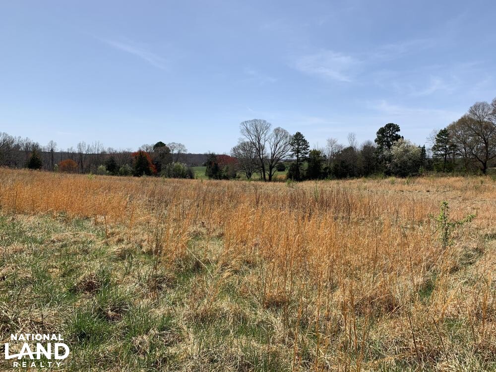Slabtown 27+/ Acre Homesite in Anderson County, South Carolina (28