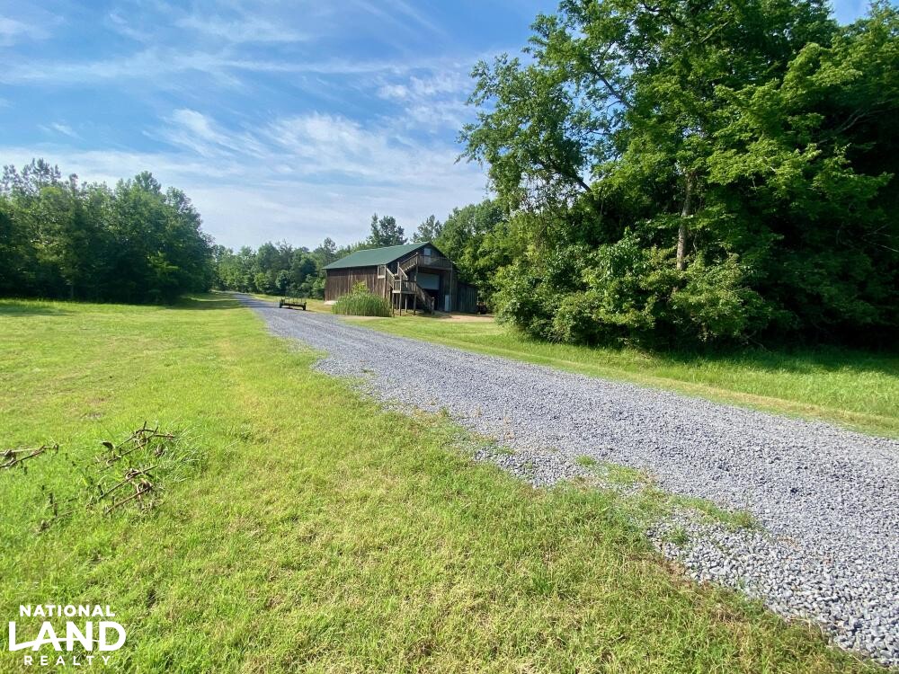 Noxubee River Plantation Hunting and Timber Investment in Noxubee