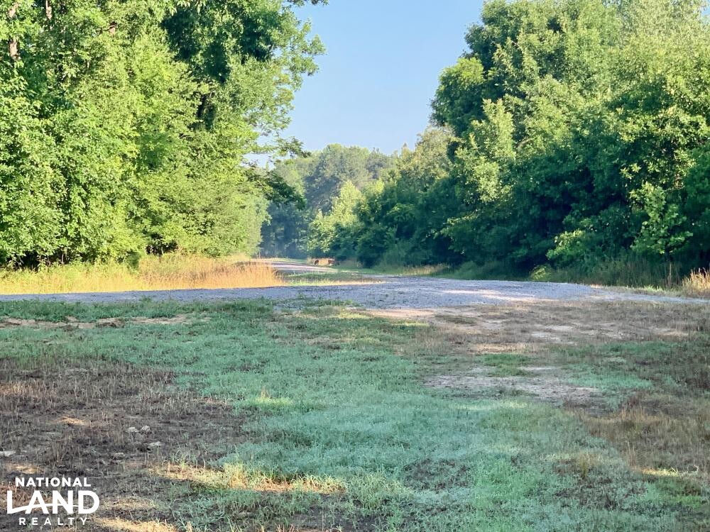 Noxubee River Plantation Hunting and Timber Investment in Noxubee