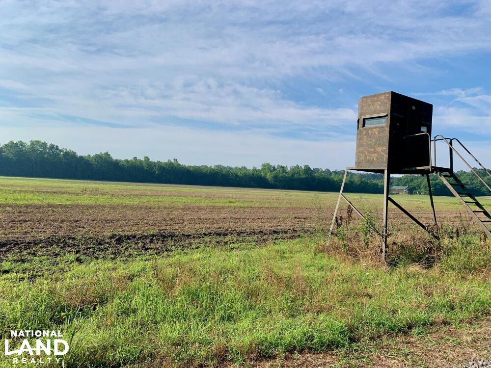 Noxubee River Plantation Hunting and Timber Investment in Noxubee