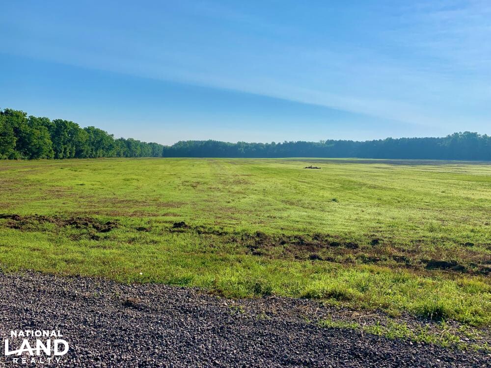 Noxubee River Plantation Hunting and Timber Investment in Noxubee