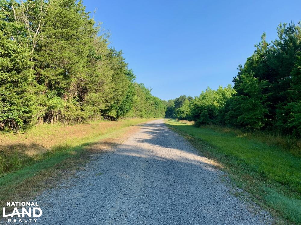 Noxubee River Plantation Hunting and Timber Investment in Noxubee