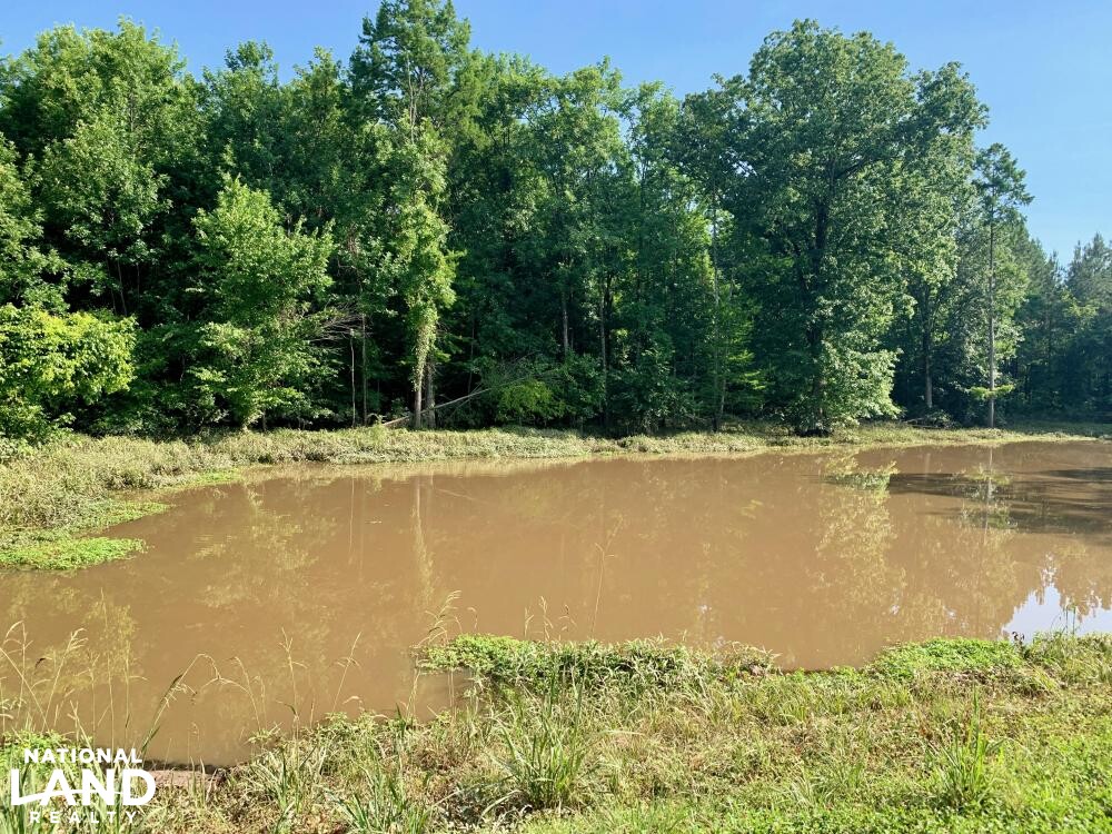 Noxubee River Plantation Hunting and Timber Investment in Noxubee