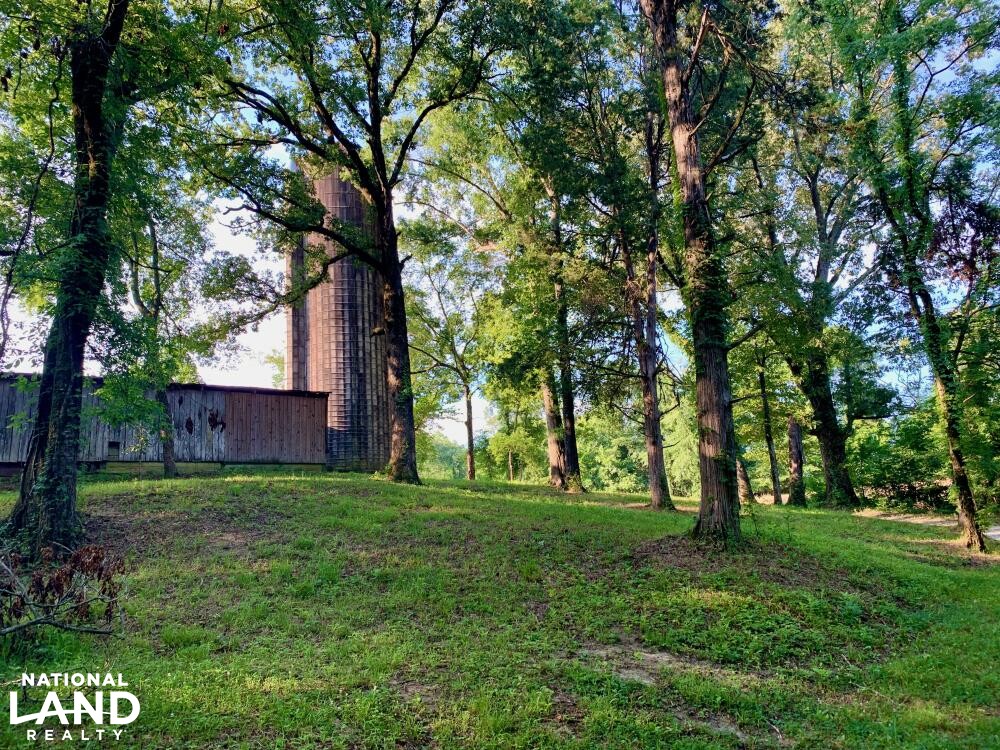 Noxubee River Plantation Hunting and Timber Investment in Noxubee