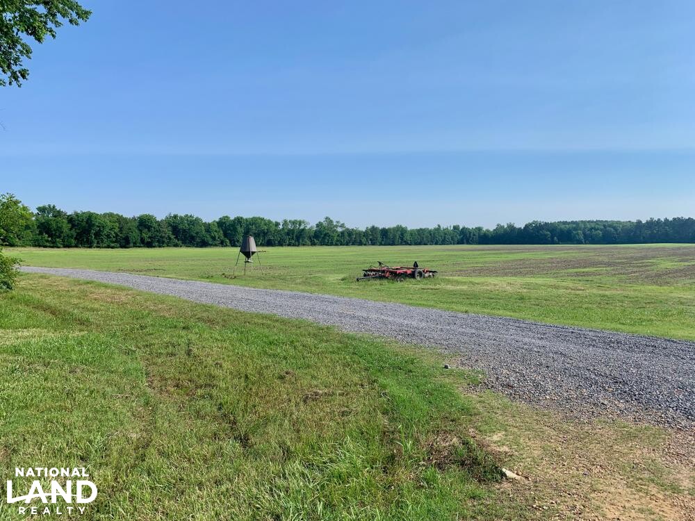 Noxubee River Plantation Hunting and Timber Investment in Noxubee