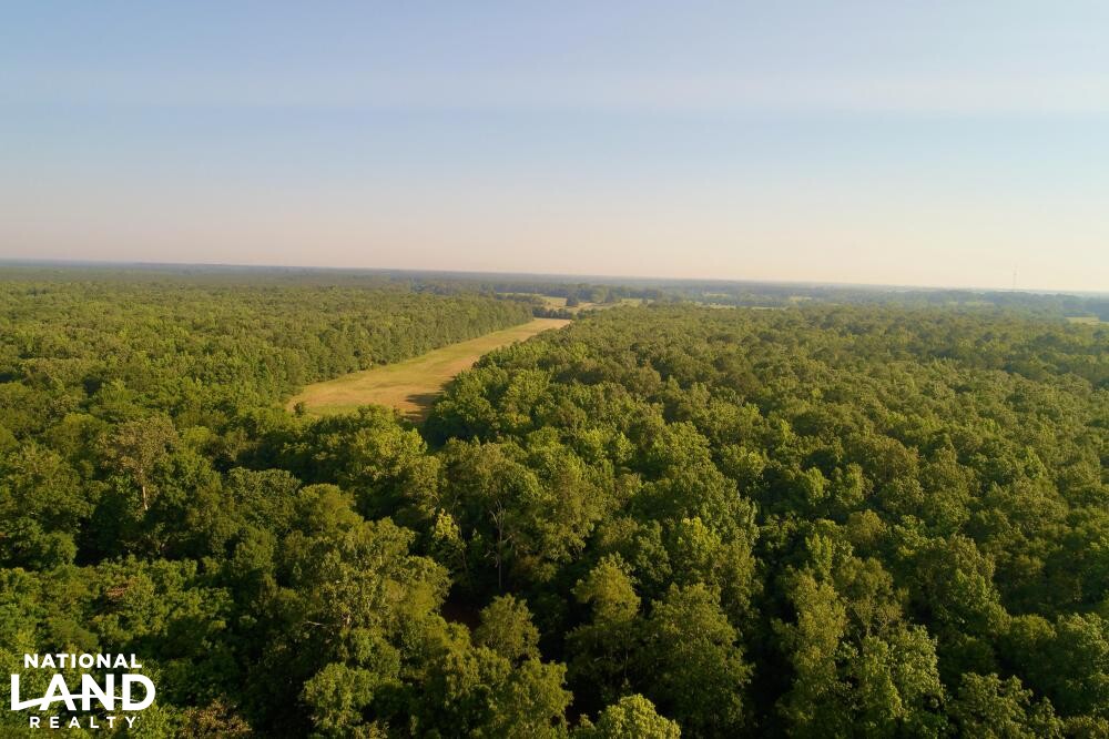 Noxubee River Plantation Hunting and Timber Investment in Noxubee
