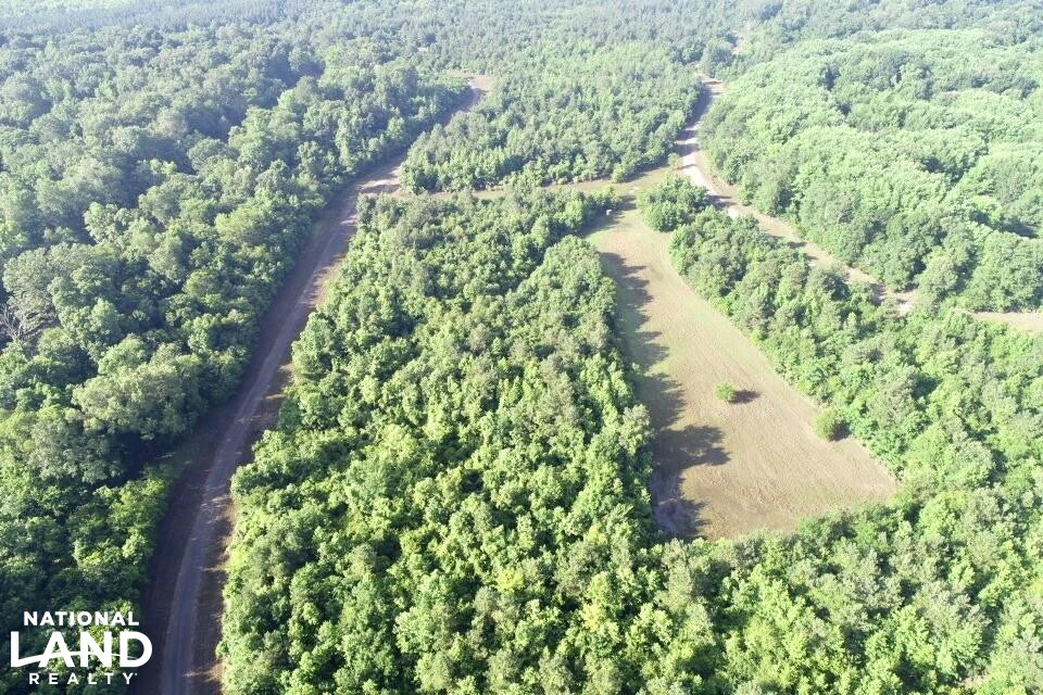 Noxubee River Plantation Hunting and Timber Investment in Noxubee