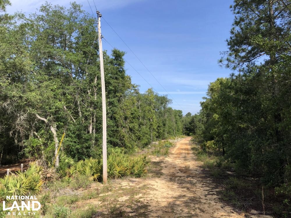 Ohoopee River Recreational Tract in Tattnall County, (75 Photos