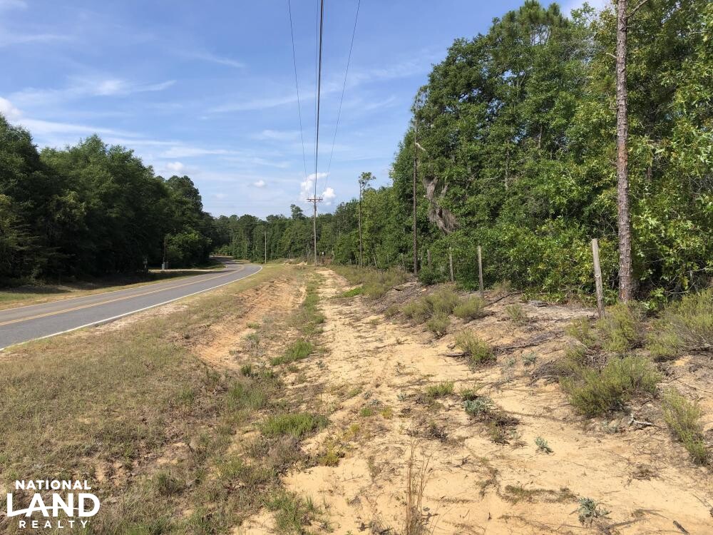 Ohoopee River Recreational Tract in Tattnall County, (75 Photos